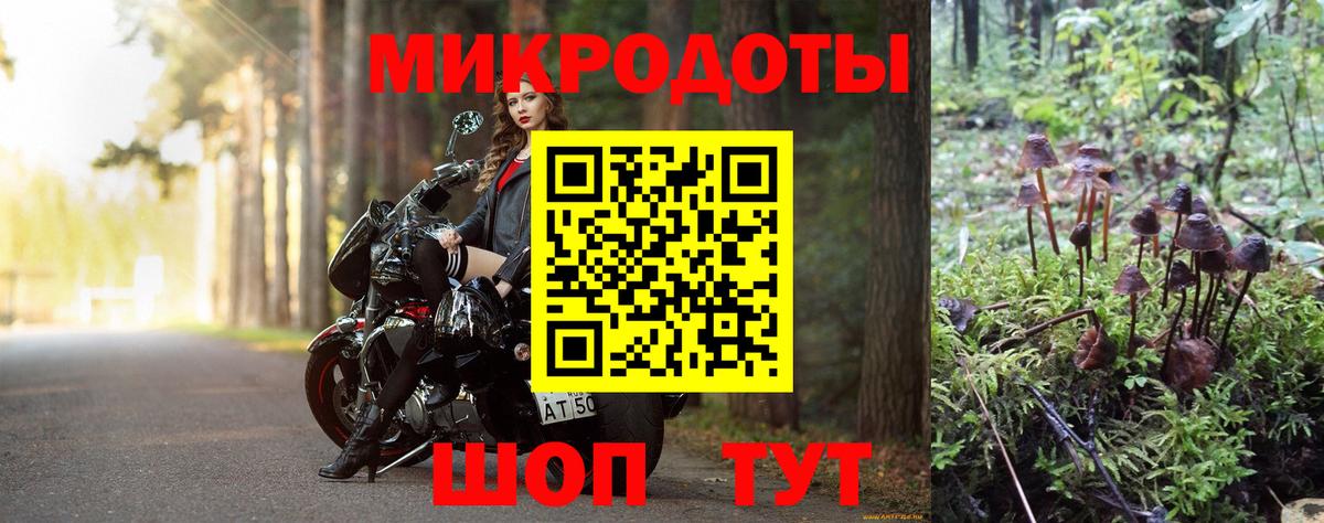 Галлюциногенные грибы прущие грибы Саянск